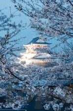 轩剑世界九游版下载-轩剑世界九游版下载体验与特色分析